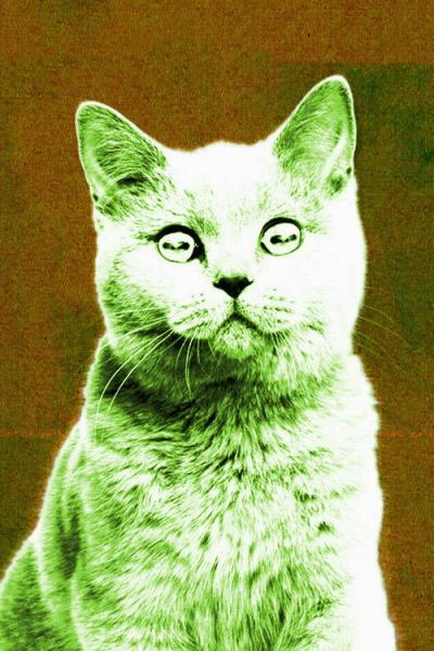 Off the Air filmas online