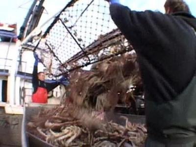 Deadliest Catch