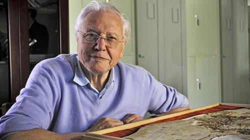 David Attenborough's Rise of Animals: Triumph of the Vertebrates filmas žiurėti online