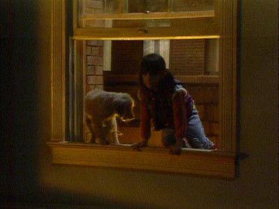 Punky Brewster
