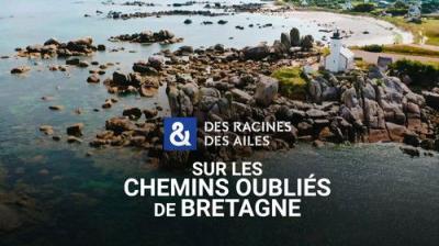 Des racines & des ailes