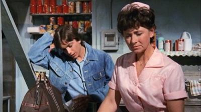 The Mod Squad