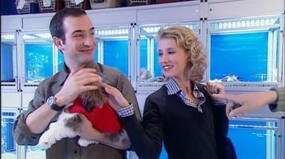 Un gars, une fille