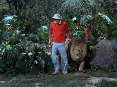 Gilligan's Island