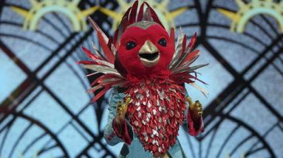 The Masked Singer