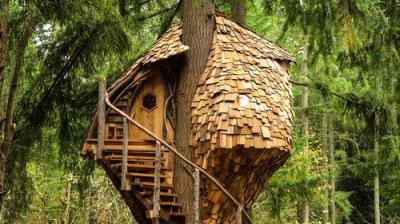 Treehouse Masters