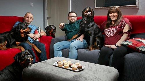 Gogglebox filmas žiurėti online