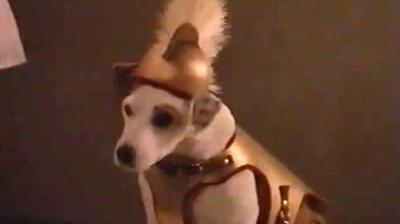 Wishbone