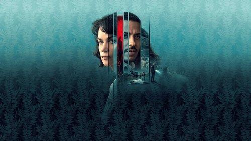 The Woman in the Wall filmas žiurėti online