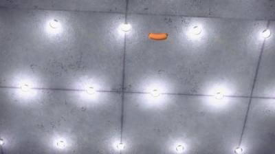 Barbė. Dviese smagiau