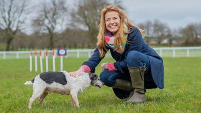 Bargain Hunt