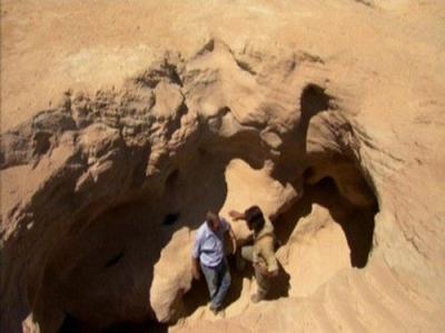 Digging for the Truth