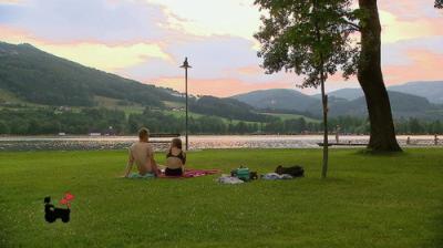 Bauer sucht Frau