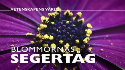 Vetenskapens värld