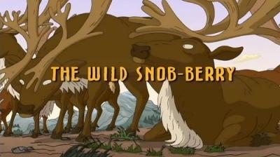 The Wild Thornberrys