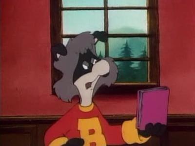 The Raccoons