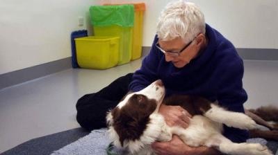 For the Love of Dogs