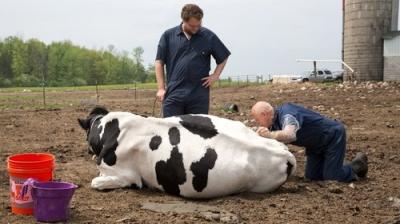 The Incredible Dr. Pol