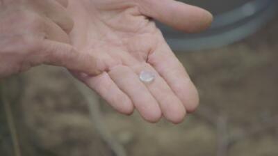 The Curse of Oak Island