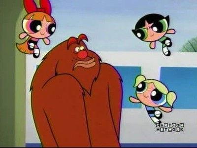 The Powerpuff Girls