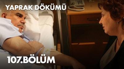 Yaprak Dökümü
