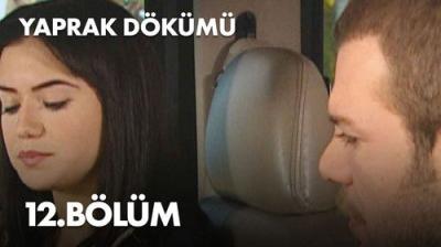 Yaprak Dökümü