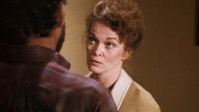 Falcon Crest
