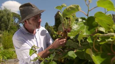 Gardening Australia