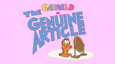 Garfield and Friends