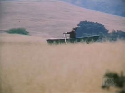 Bonanza