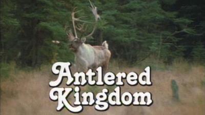 Marty Stouffer's Wild America