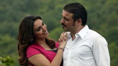 Geniş Aile
