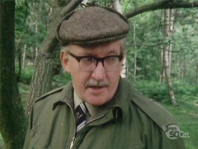 Last of the Summer Wine