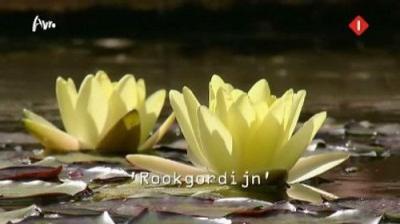 Wie is de Mol?