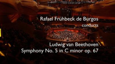 Beethoven: The Symphonies (Rafael Frühbeck de Burgos Conducts the Danish National Symphony Orchestra