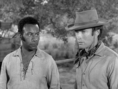 Rawhide