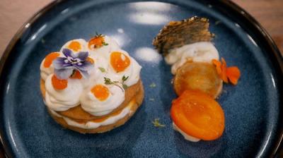 MasterChef: The Professionals