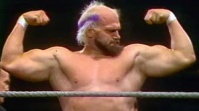 WWF All-Star Wrestling