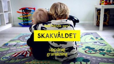Uppdrag granskning sommar