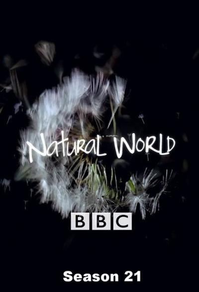 Natural World filmas online
