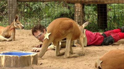 I'm a Celebrity...Get Me Out of Here!