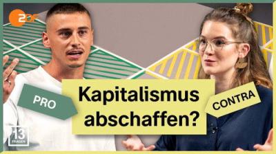13 Fragen