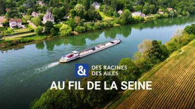 Des racines & des ailes