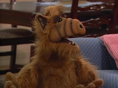 ALF