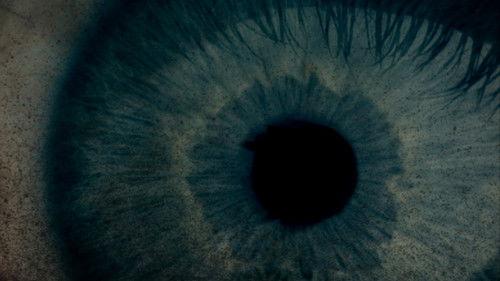 Evil, I filmas žiurėti online