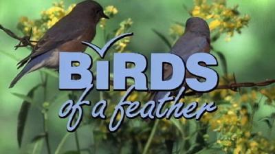 Marty Stouffer's Wild America