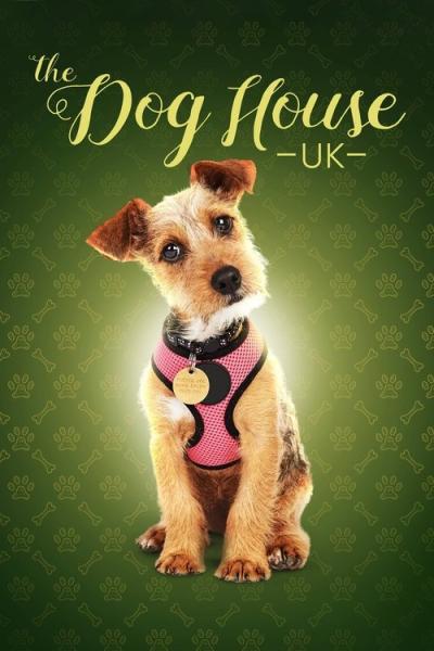 The Dog House filmas online