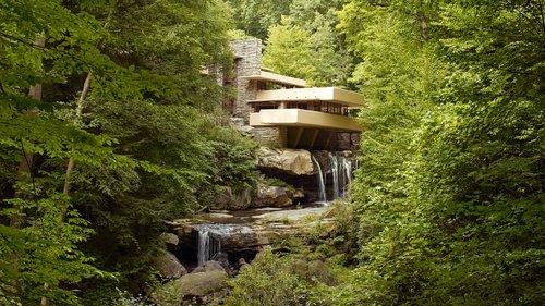 Frank Lloyd Wright filmas žiurėti online