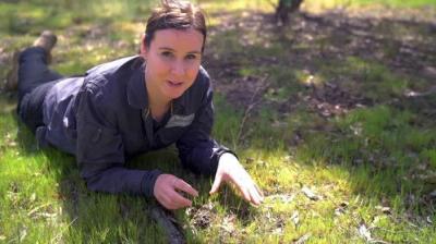 Gardening Australia