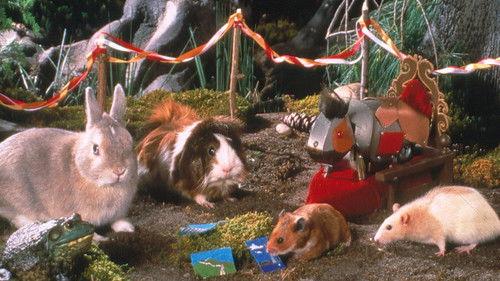 Once Upon a Hamster filmas žiurėti online